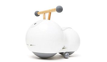 Сферовел для діток 10 -24 місяців Early Rider