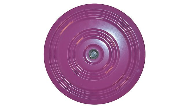 Диск здоров'я - дополнительное фото 3