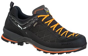 Кроссовки Salewa MTN Trainer 2 GTX