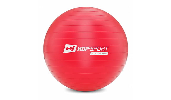 Фитбол Hop-Sport 55 см + насос - фото 3