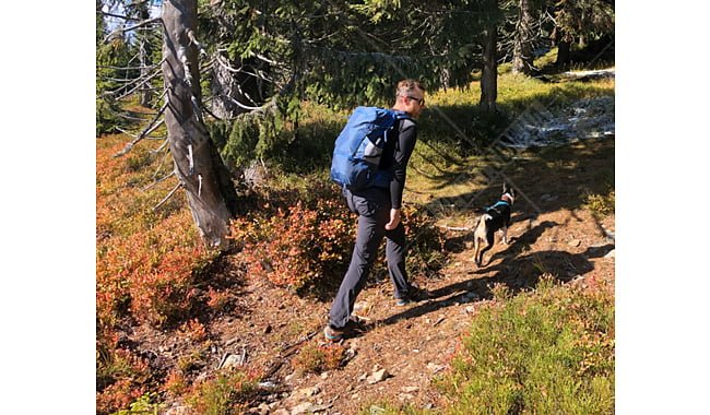 Рюкзак Pinguin Vector 35 - дополнительное фото 18