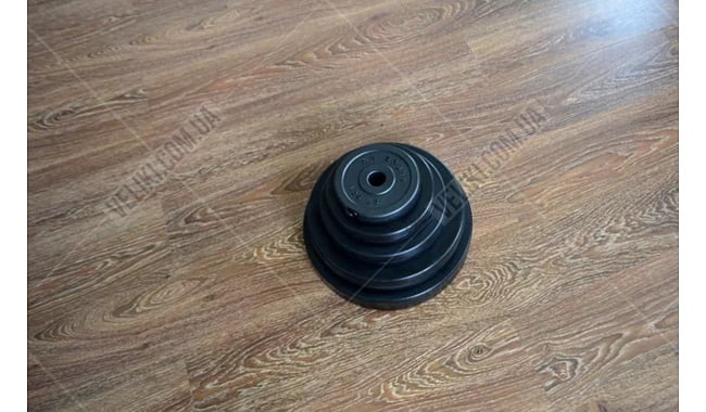 Штанга RN-Sport W-образная 30 кг - дополнительное фото 4