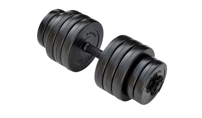 Гантель RN-Sport Long 21 кг - фото 1
