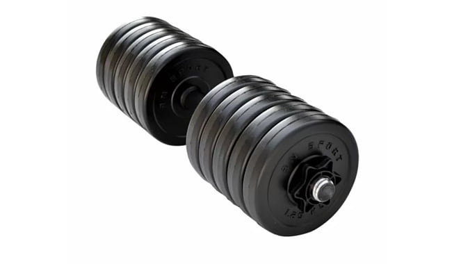 Гантель RN-Sport Long 13 кг - фото 1