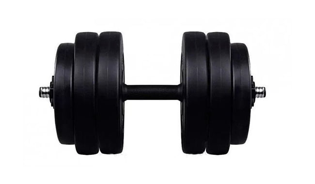 Гантель RN-Sport PlC 26 кг - фото 1