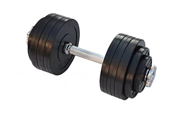 Гантель RN-Sport RC 20 кг