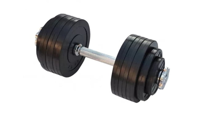 Гантель RN-Sport RC 20 кг - фото 1