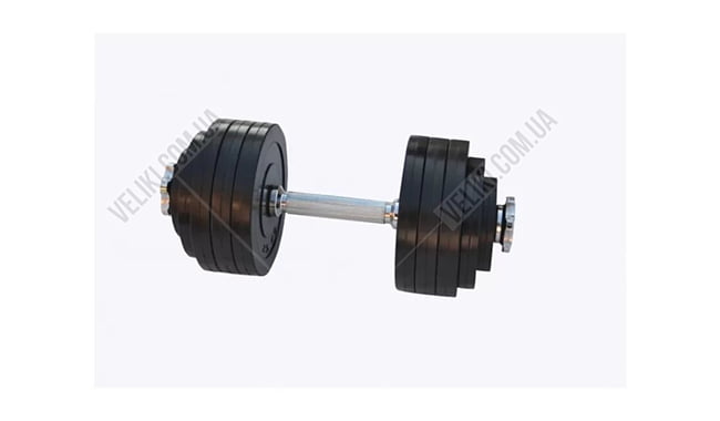 Гантель RN-Sport RC 20 кг - дополнительное фото 2