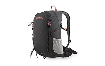 Рюкзак Pinguin Ride