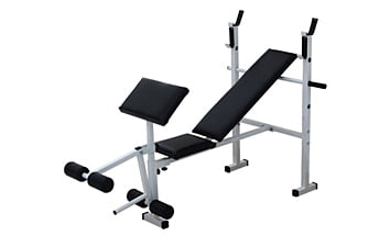 Скамья со стойкой для штанги Newt ProGym Plus