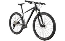 Велосипед Cannondale Trail SL 4 29" - дополнительное фото 1