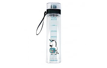 Бутылка для воды ZIZ Магическая вода 700 мл