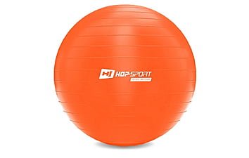 Фитбол Hop-Sport 65 см + насос