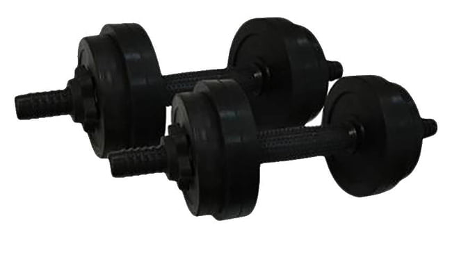 Гантели Newt PL 2х6,5 кг - фото 1