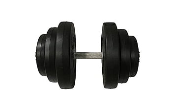 Гантель Newt Rock Pro-R 19,5 кг