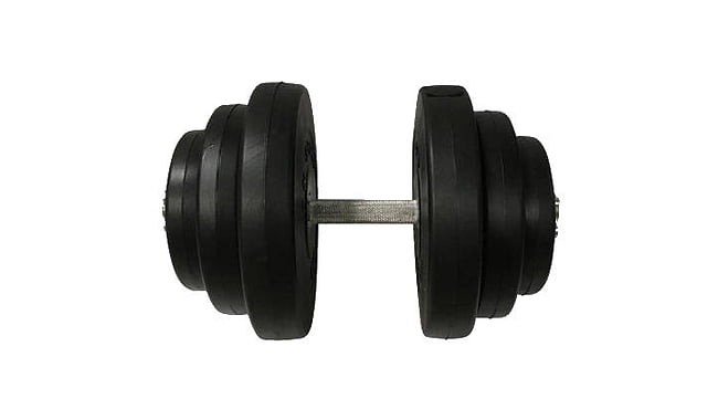 Гантель Newt Rock Pro-R 19,5 кг - фото 1
