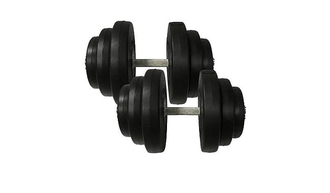 Гантели Newt Rock Pro-R 2х19,5 кг - фото 1