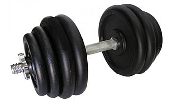 Гантель Newt Home 31,5 кг