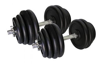 Гантели Newt Home 2x31,5 кг