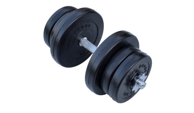 Гантель RN-Sport K 11,5 кг - фото 1
