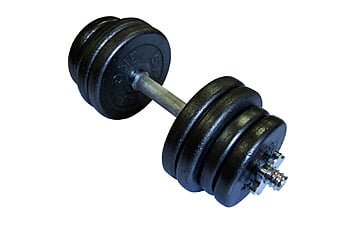 Гантель Newt Home 21,5 кг