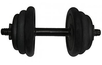 Гантель Newt 12,5 кг