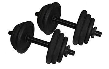 Гантели Newt 2x12,5 кг