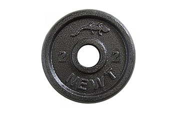 Диск Newt Home стальной 2 кг