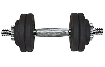 Гантель Champion 15.5 кг