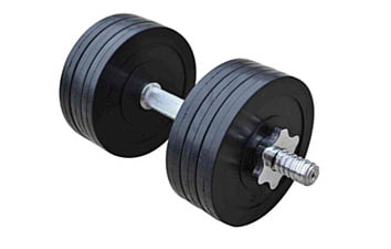 Гантель RN-Sport QTR16 16 кг