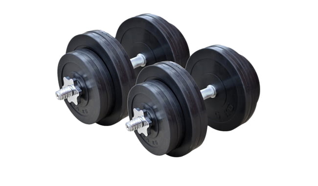 Гантели RN-Sport наборные 31 кг - фото 1
