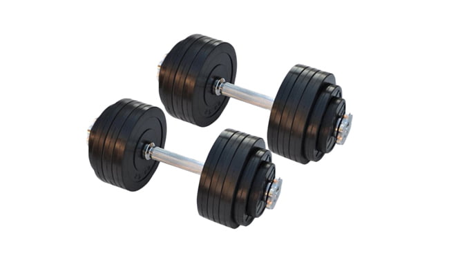 Гантели RN-Sport наборные 20 кг - фото 1
