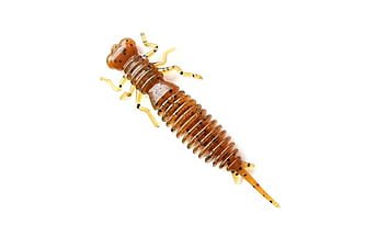 Приманка Fanatik Larva 2.5 "7шт