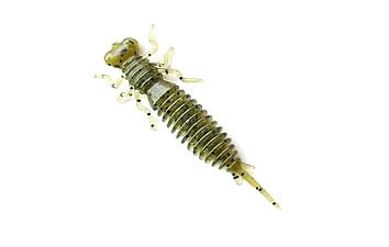 Насекомое Fanatik Larva 3.5", 4 шт