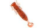 Насекомое Fanatik LARVA LUX 2.0" - фото 4