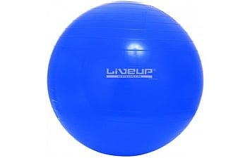 М'яч для фітнесу LiveUp Gym Ball 65 см