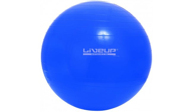Мяч для фитнеса LiveUp Gym Ball 65 см - фото 1