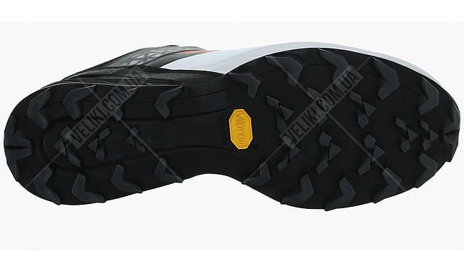 Кросівки Dynafit Alpine DNA - дополнительное фото 1