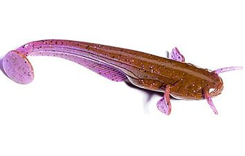 Силікон Fishup Catfish 3 "8шт.