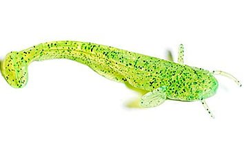Силікон Fishup Catfish 3 "8шт.
