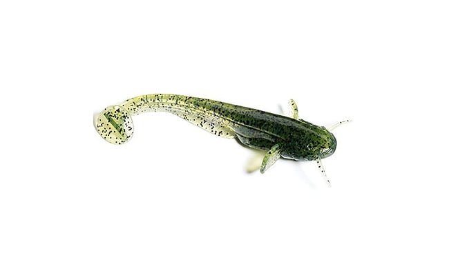Виброхвост FishUp Catfish 3.0", 8 шт - фото 7