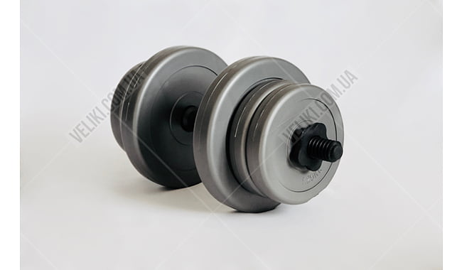 Гантель WCG 1х10 кг - дополнительное фото 1