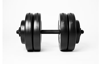 Гантель WCG 1х13 кг