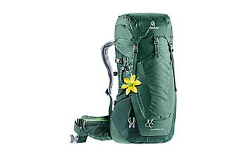 Рюкзак Deuter Futura SL 24