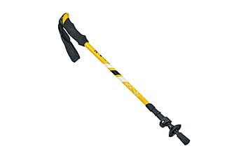 Палиця для скандинавської ходьби Planeta-Sport TY-0468 Raico