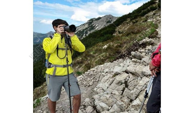Палка треккинговая Leki Photosystem Carbon - дополнительное фото 3