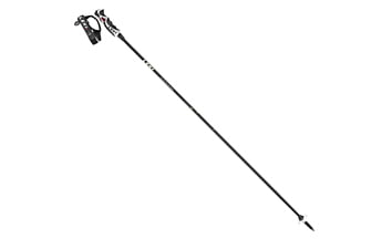 Палки для лыж Leki Carbon 11 S