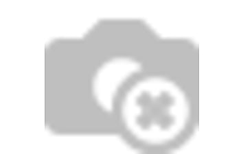 Слаг Z-Man Scented Jerk Shadz 4.0" 5 шт