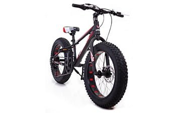 Велосипед Hammer Extrime 20"+