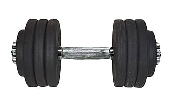 Гантель Champion A00319 36 кг